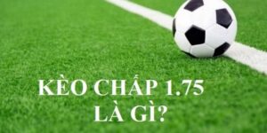 Chi tiết về kèo chấp 1.75 là sao trên website xoso333