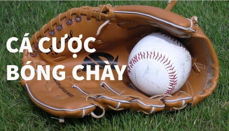 Các loại kèo trong cá cược bóng chày Xoso333